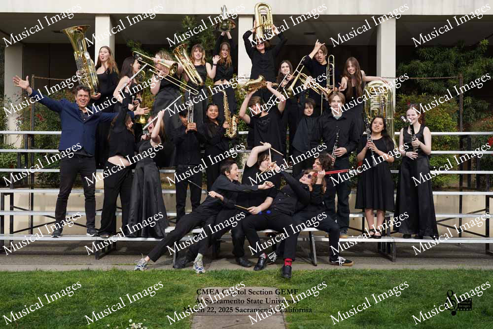 Musical Images
